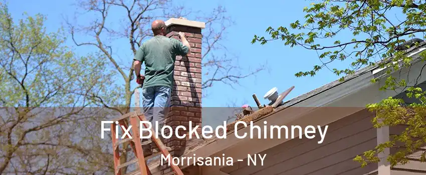 Fix Blocked Chimney Morrisania - NY