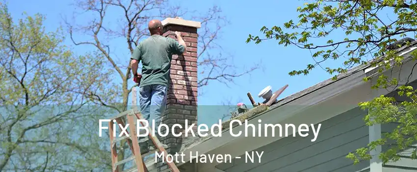 Fix Blocked Chimney Mott Haven - NY