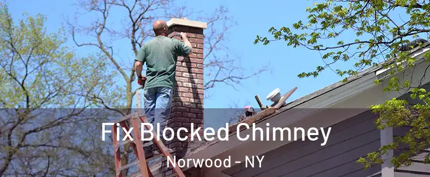 Fix Blocked Chimney Norwood - NY