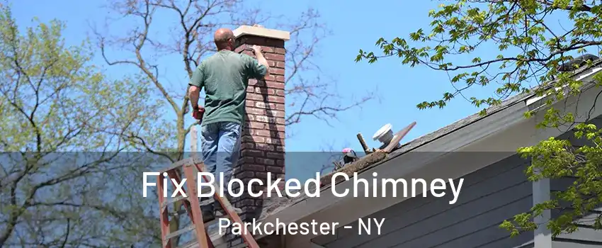 Fix Blocked Chimney Parkchester - NY