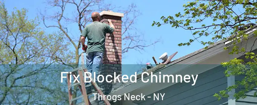 Fix Blocked Chimney Throgs Neck - NY