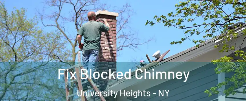 Fix Blocked Chimney University Heights - NY