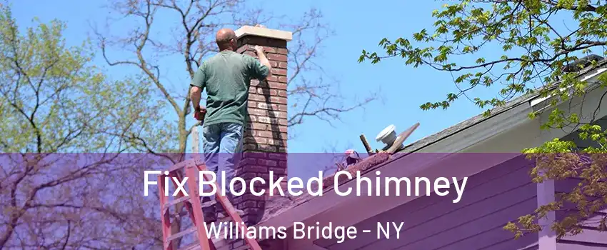 Fix Blocked Chimney Williams Bridge - NY