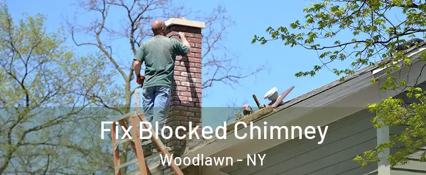 Fix Blocked Chimney Woodlawn - NY