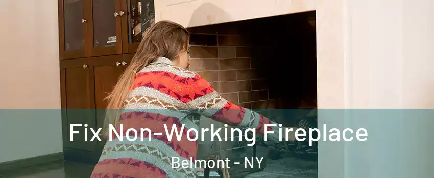 Fix Non-Working Fireplace Belmont - NY