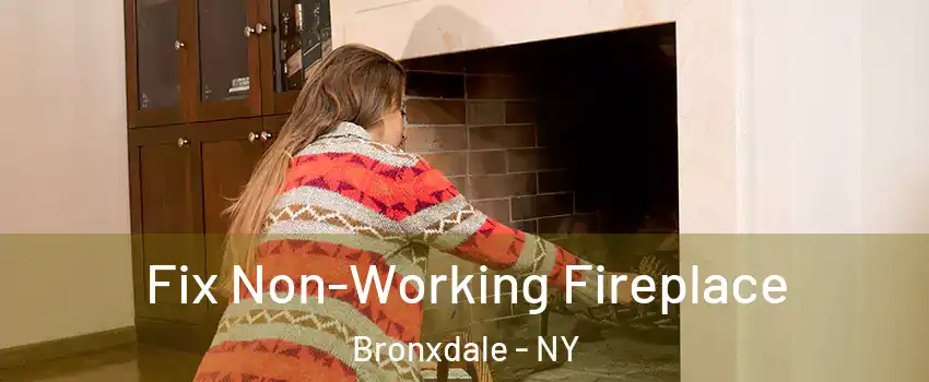 Fix Non-Working Fireplace Bronxdale - NY