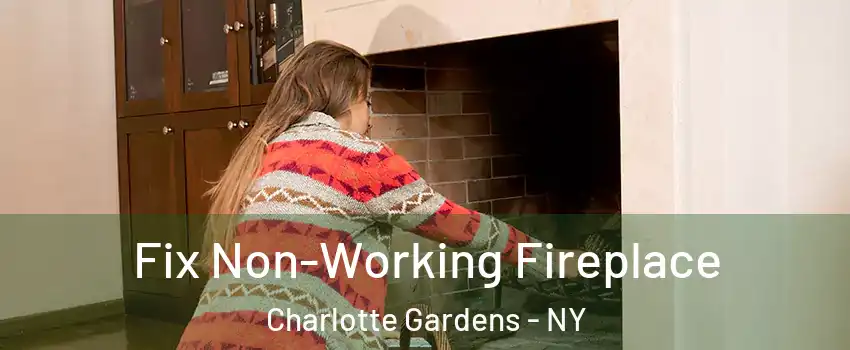 Fix Non-Working Fireplace Charlotte Gardens - NY