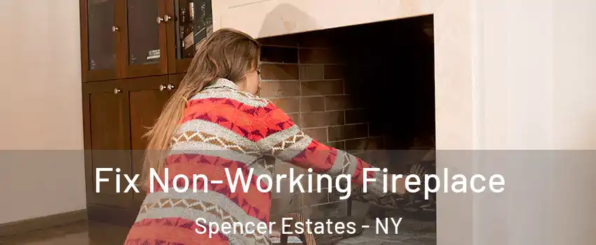 Fix Non-Working Fireplace Spencer Estates - NY