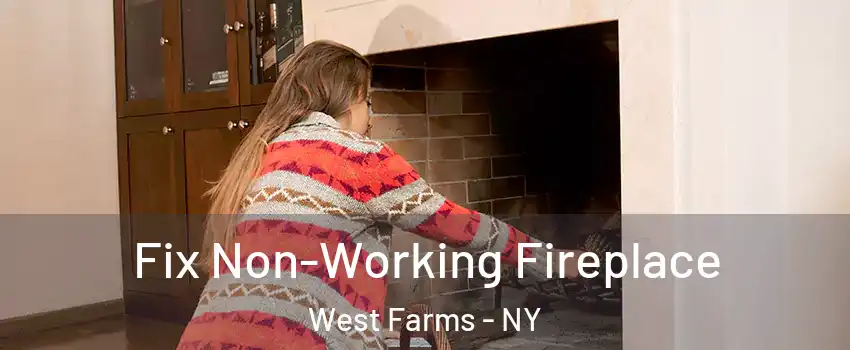 Fix Non-Working Fireplace West Farms - NY