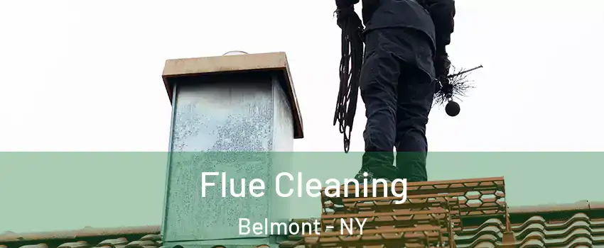 Flue Cleaning Belmont - NY