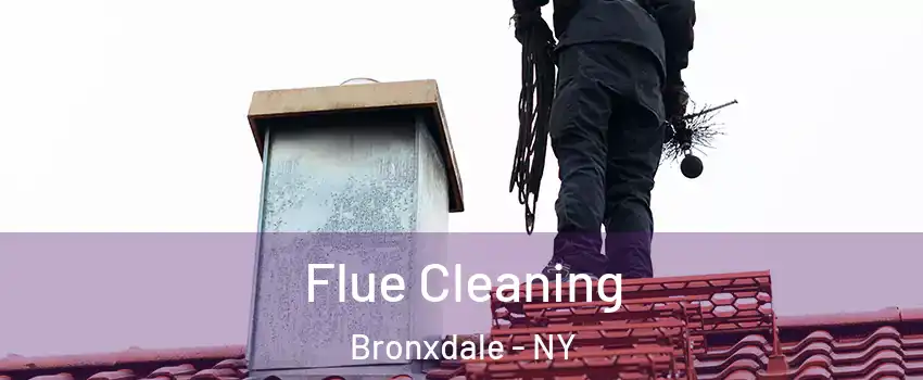 Flue Cleaning Bronxdale - NY