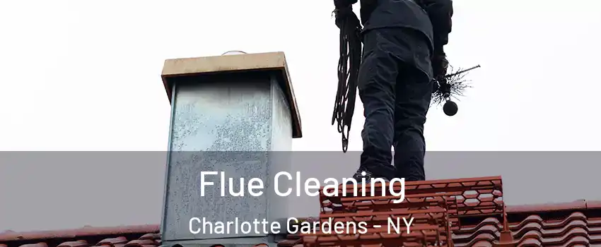 Flue Cleaning Charlotte Gardens - NY