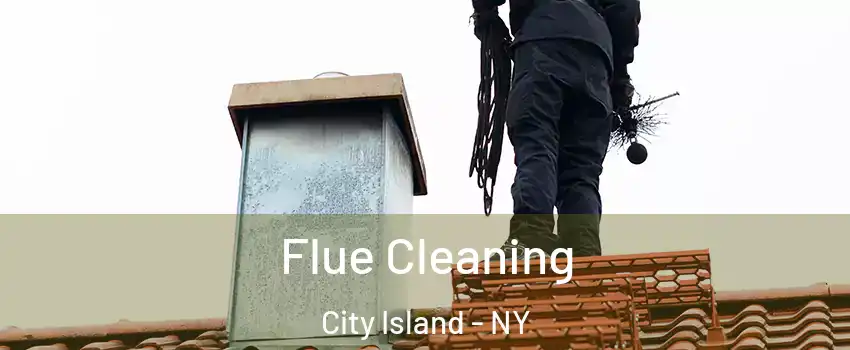 Flue Cleaning City Island - NY