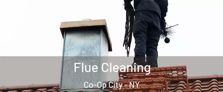 Flue Cleaning Co-Op City - NY