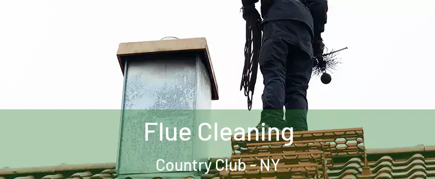 Flue Cleaning Country Club - NY