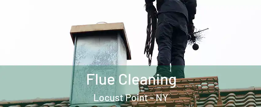 Flue Cleaning Locust Point - NY