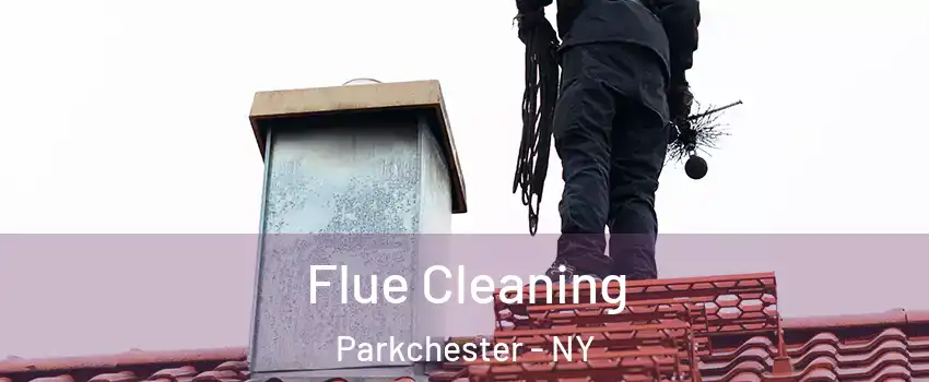 Flue Cleaning Parkchester - NY