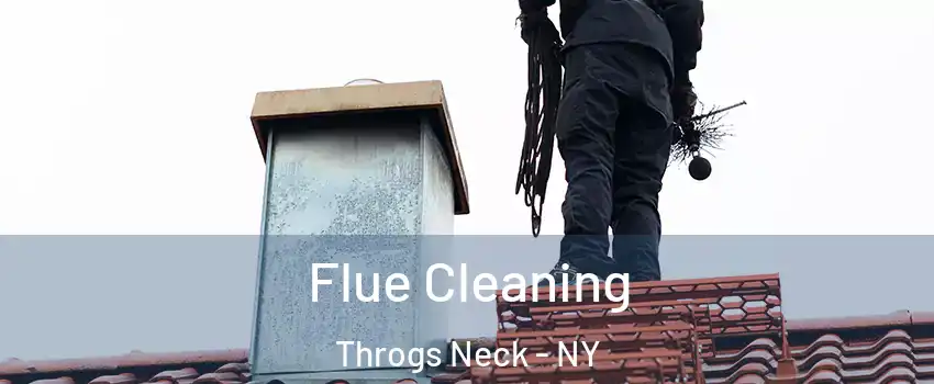 Flue Cleaning Throgs Neck - NY