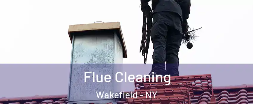 Flue Cleaning Wakefield - NY