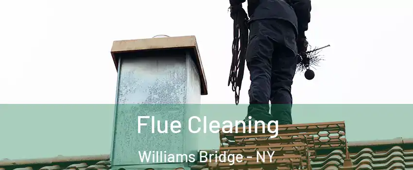 Flue Cleaning Williams Bridge - NY