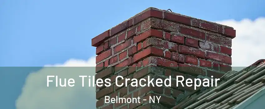 Flue Tiles Cracked Repair Belmont - NY