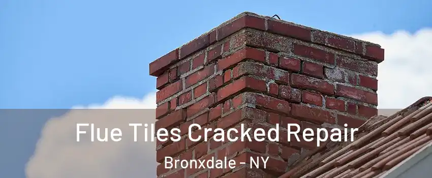 Flue Tiles Cracked Repair Bronxdale - NY