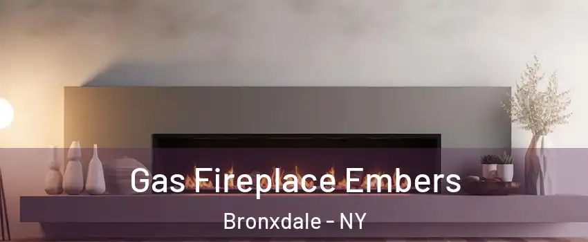 Gas Fireplace Embers Bronxdale - NY