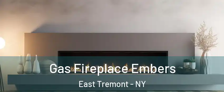 Gas Fireplace Embers East Tremont - NY