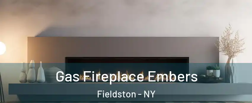 Gas Fireplace Embers Fieldston - NY