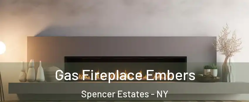 Gas Fireplace Embers Spencer Estates - NY