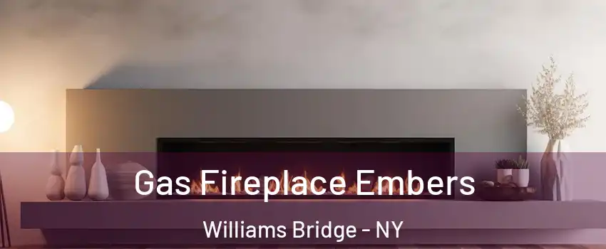 Gas Fireplace Embers Williams Bridge - NY