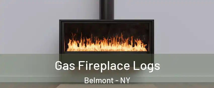 Gas Fireplace Logs Belmont - NY