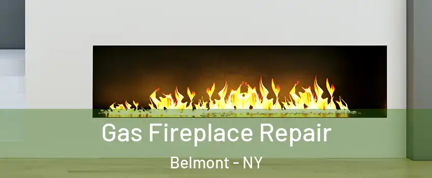 Gas Fireplace Repair Belmont - NY