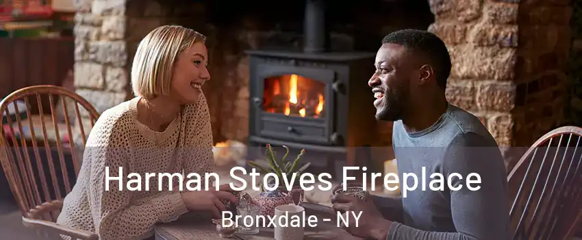 Harman Stoves Fireplace Bronxdale - NY