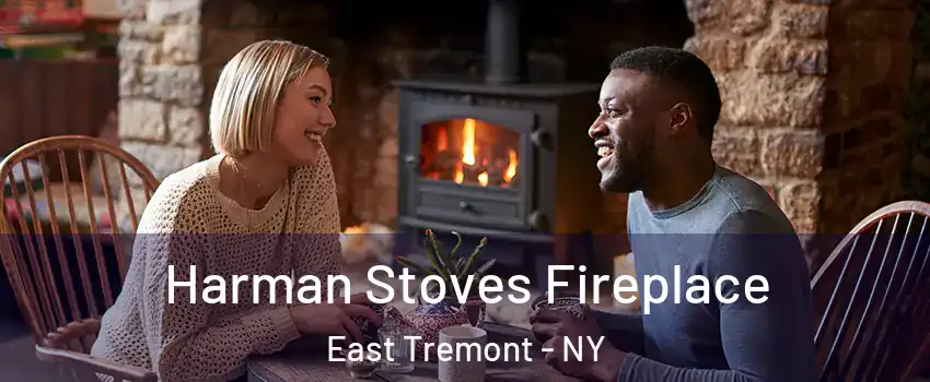 Harman Stoves Fireplace East Tremont - NY