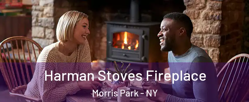 Harman Stoves Fireplace Morris Park - NY