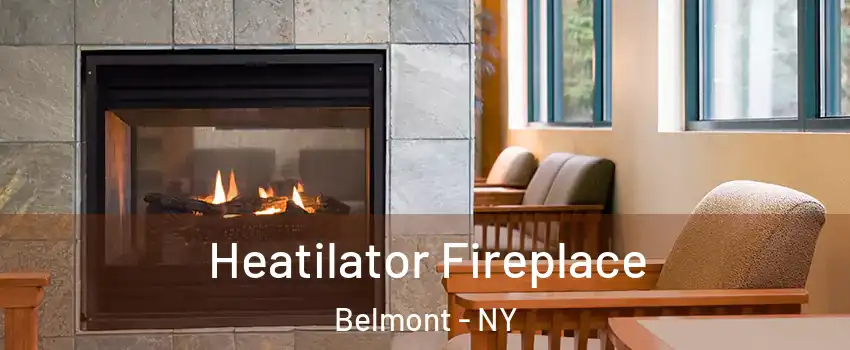 Heatilator Fireplace Belmont - NY