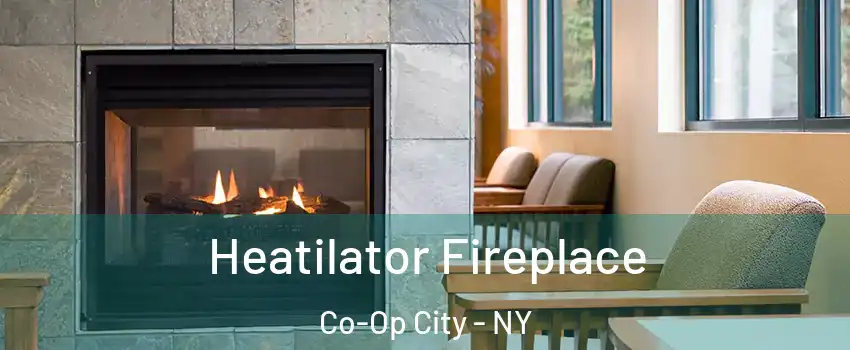 Heatilator Fireplace Co-Op City - NY