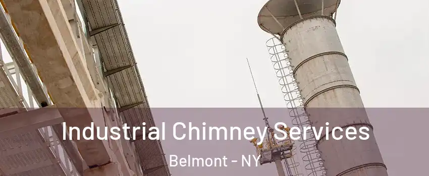 Industrial Chimney Services Belmont - NY