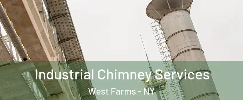 Industrial Chimney Services West Farms - NY