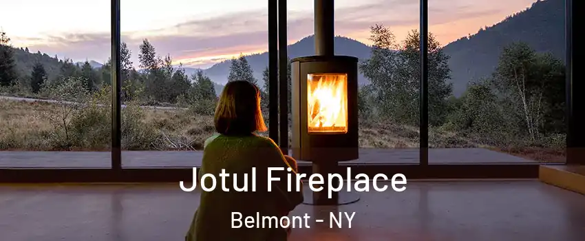 Jotul Fireplace Belmont - NY