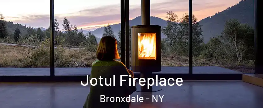 Jotul Fireplace Bronxdale - NY