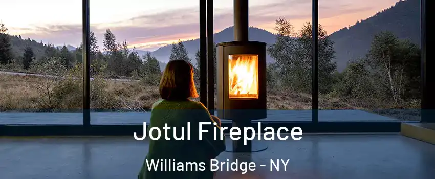 Jotul Fireplace Williams Bridge - NY