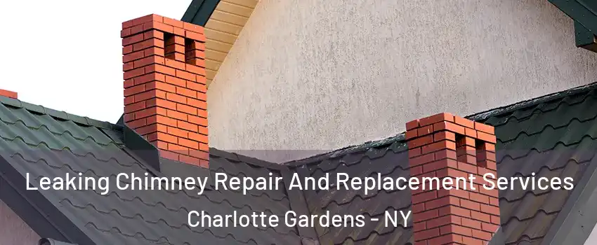 Leaking Chimney Repair And Replacement Services Charlotte Gardens - NY