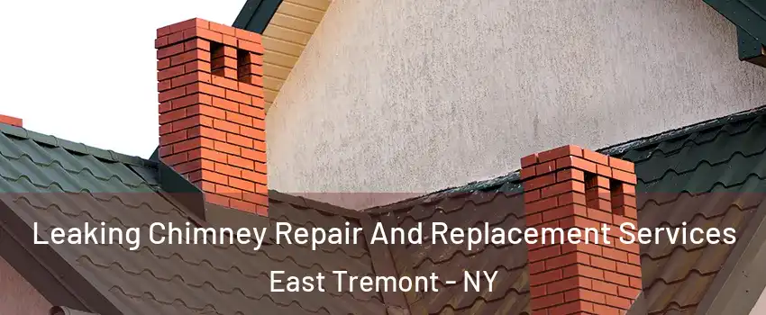 Leaking Chimney Repair And Replacement Services East Tremont - NY