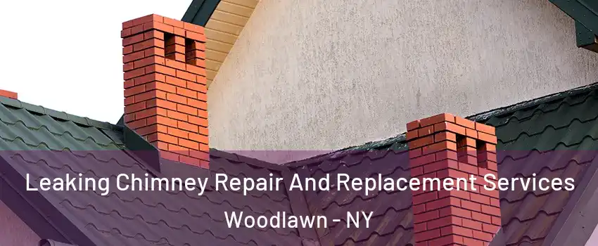 Leaking Chimney Repair And Replacement Services Woodlawn - NY