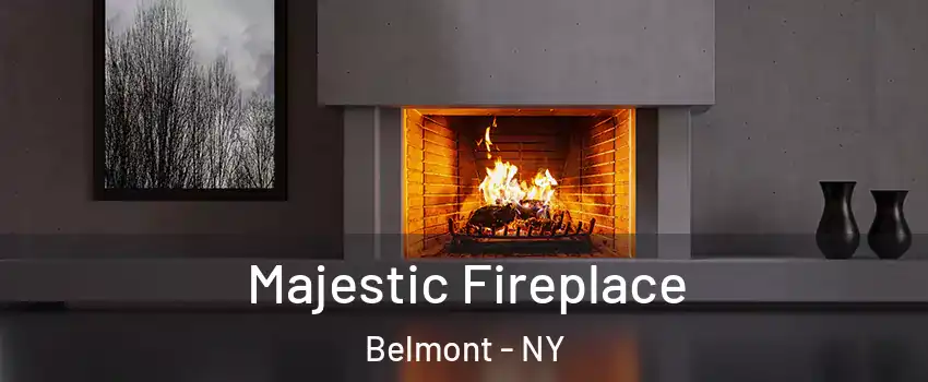 Majestic Fireplace Belmont - NY