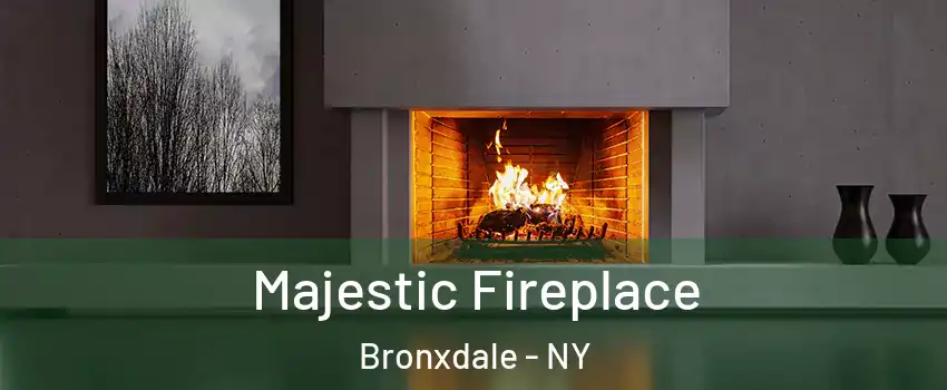 Majestic Fireplace Bronxdale - NY