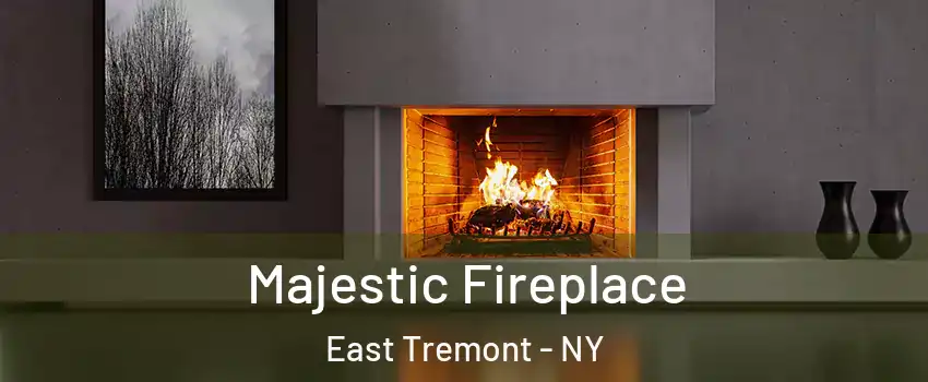 Majestic Fireplace East Tremont - NY