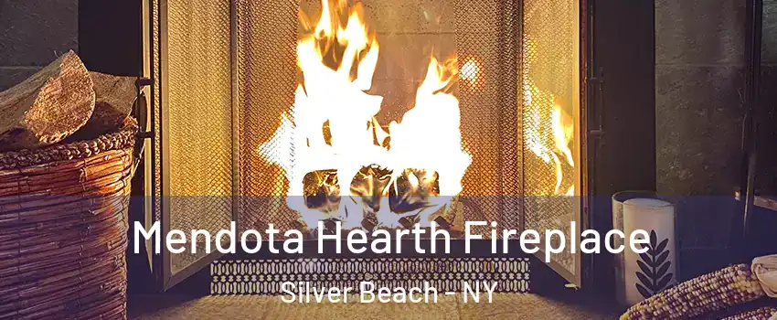 Mendota Hearth Fireplace Silver Beach - NY